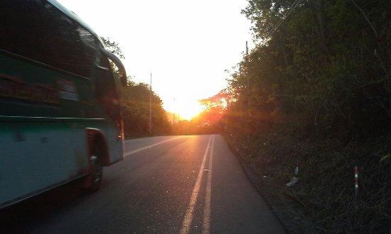 Las pizzas del Pastor